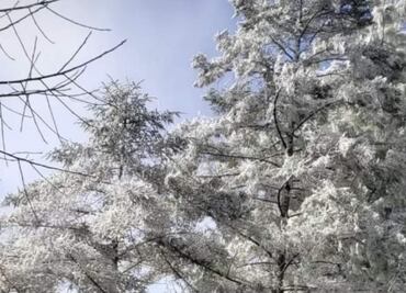 Reportan aguanieve en Santiago, Nuevo León previo a entrada de frente frío; temperatura podría llegar hasta -1°