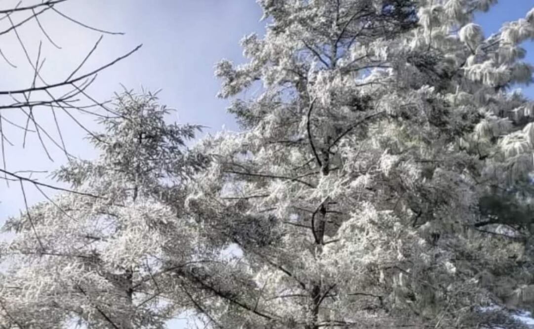 Reportan aguanieve en Santiago, Nuevo León previo a entrada de frente frío (19/01/2025). Foto: Especial/El Universal