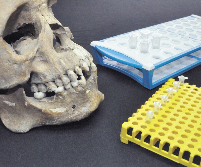 Cráneo de origen africano que fue descubierto en 1992, en el Centro Histórico de la Ciudad de México, durante la contrucción de la Línea 8 del Metro. FOTOS: CORTESÍA RODRIGO BARQUERA