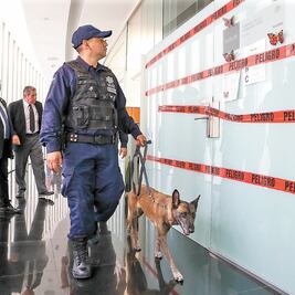 Senado refuerza su seguridad tras explosión 