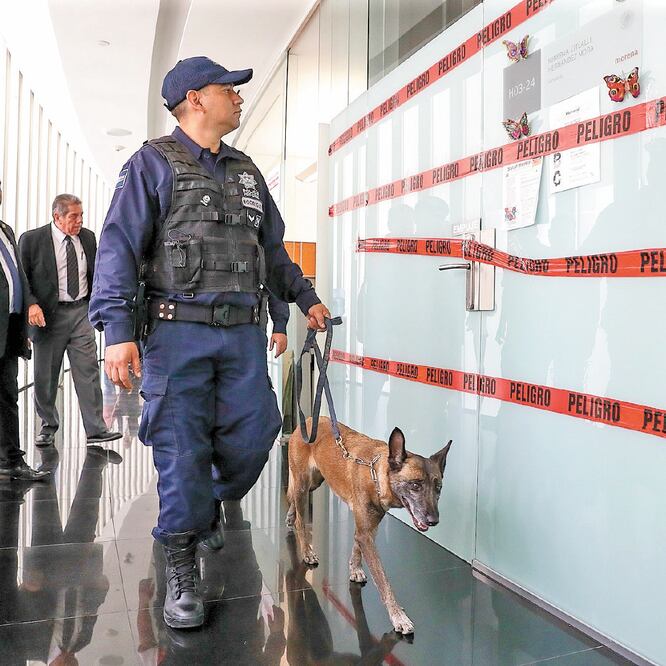 Entre las medidas para reforzar la seguridad en el Senado de la República está el uso cotidiano de perros entrenados para búsqueda de explosivos. DIEGO SIMÓN. EL UNIVERSAL