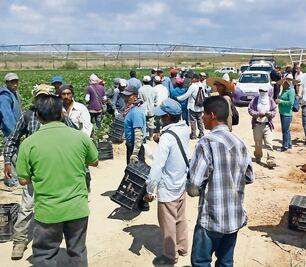 Mexicanos en EU buscan en redes sociales cómo migrar a Canadá