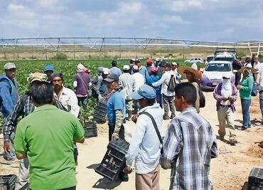 Mexicanos en EU buscan en redes sociales cómo migrar a Canadá