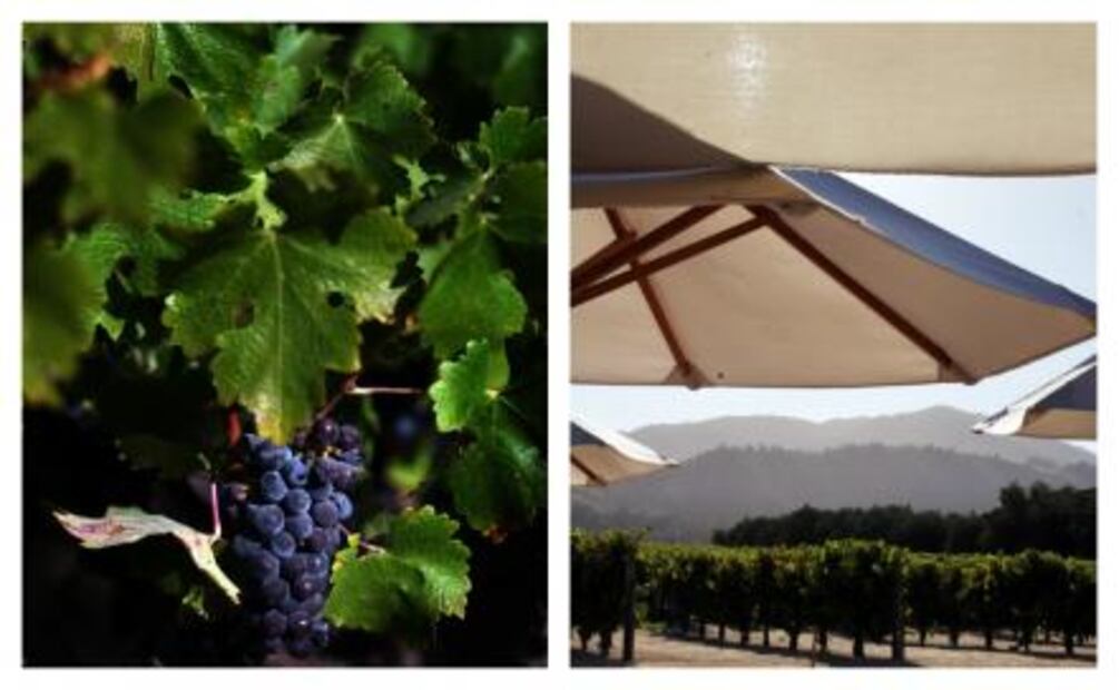 Un road trip a la California del vino