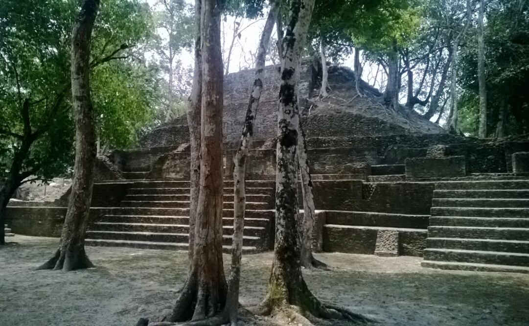 Foto: AP / Alina Hartounian, archivo