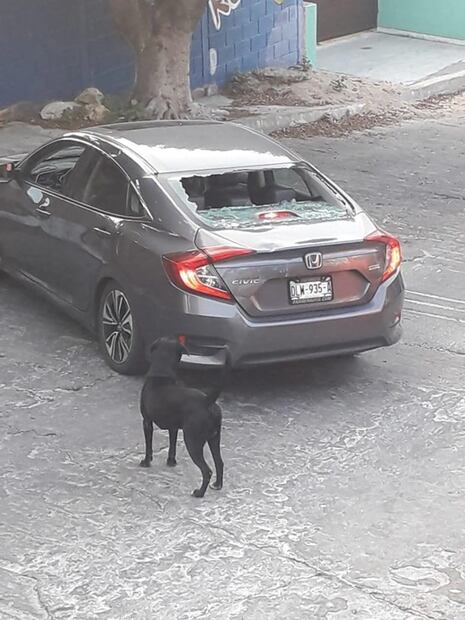 Mocri vandaliza comercios y autos tras desalojo de predio en Chiapas