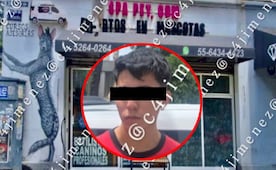 ¡Indignación en la Condesa! Llevan a un perrito a bañar y se los regresan muerto de en un spa para mascotas