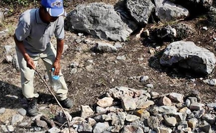 Bodies found in clandestine grave in Chilapa