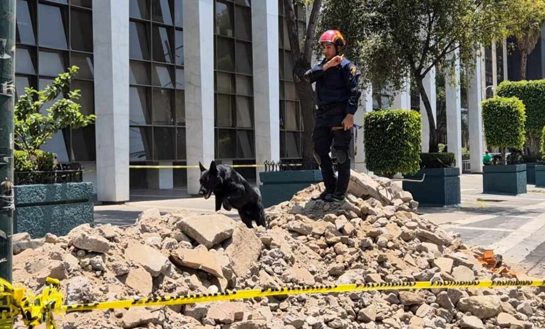Así fue el Simulacro Nacional 2025 para el binomio canino del Cuerpo de Bomberos (29/04/2025). Foto: Jorge Alejandro Medellín / EL UNIVERSAL