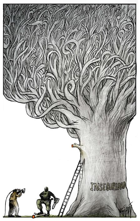 Combate a la inseguridad