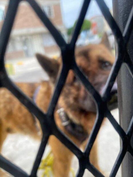 Foto: Twitter @LetyVarela