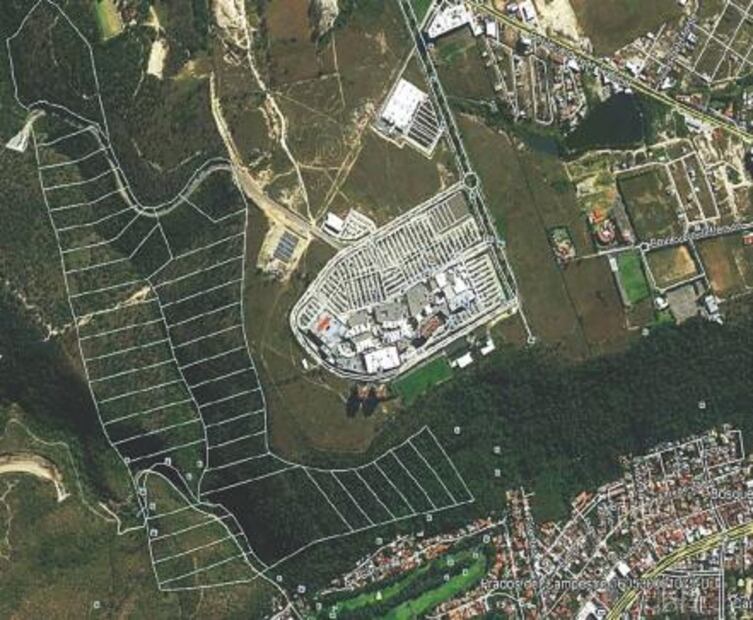 Solapa juez despojo de terrenos protegidos en Morelia