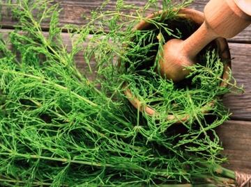 Qué es la cola de caballo y para qué sirve