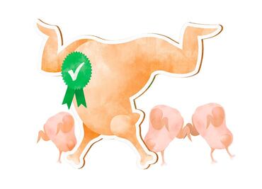 Alertan por comida orgánica falsa: ¿cómo evitar engaños?