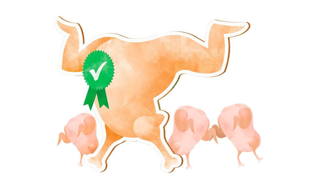 Ilustración: IVÁN VARGAS. EL UNIVERSAL