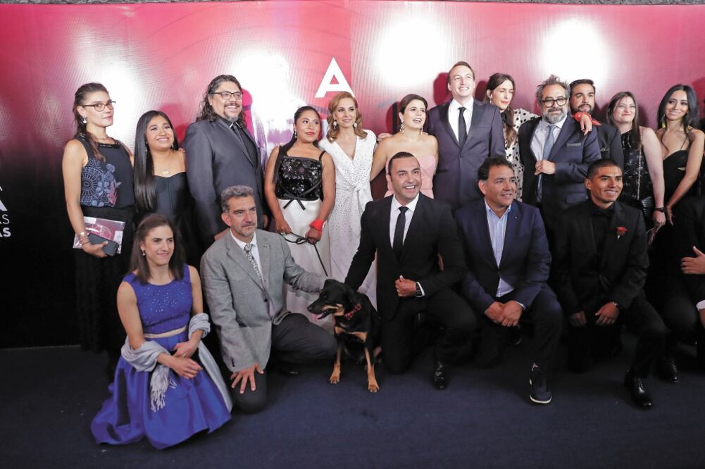 El Borras, canino de la película ROMA, también fue llevado a la alfombra para posar con los actores. Fotos/César Huerta e Iván Stephens. EL UNIVERSAL