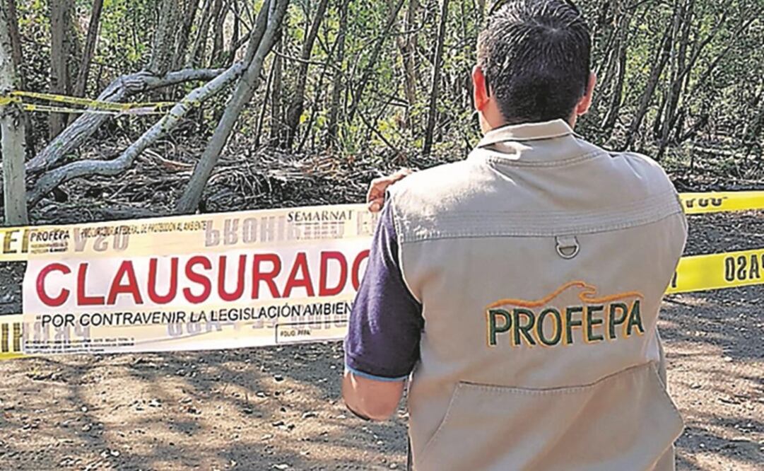 Foto: Archivo / EL UNIVERSAL