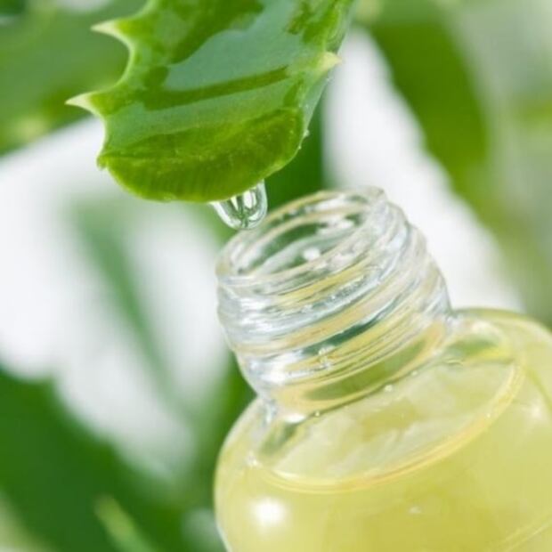 Qué pasa si aplicas sábila en el pelo