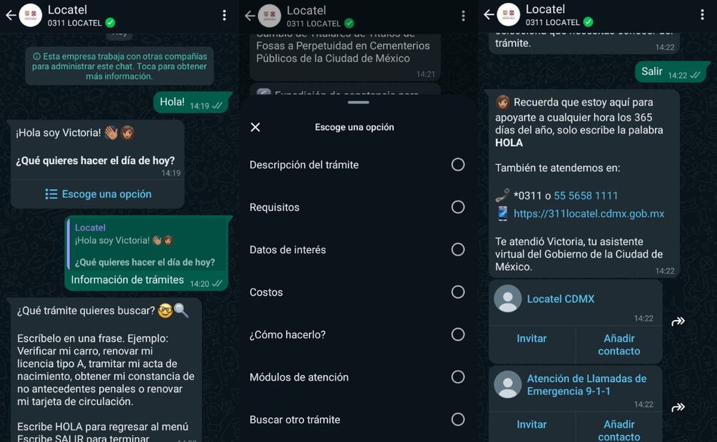 Imagen: captura de pantalla