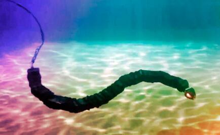 Inventan anguila robótica para detectar fuentes polución de agua