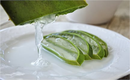 Profeco: bebidas que dicen tener "aloe vera" tienen menos de 5%