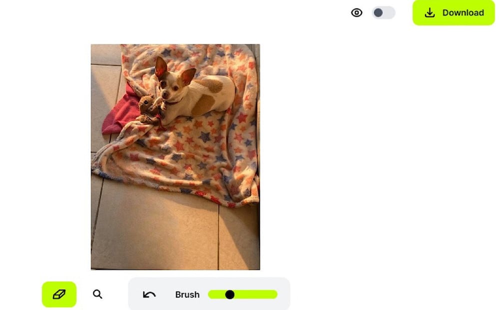 Foto: Cleanup.pictures