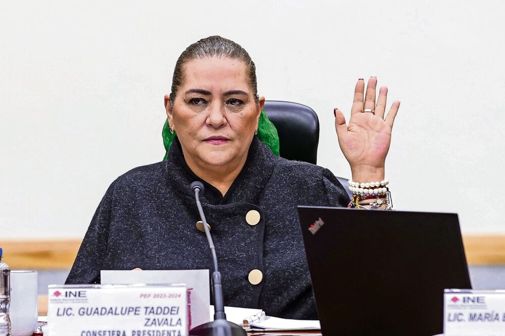   Taddei llama a los medios a vigilar el ejercicio del poder