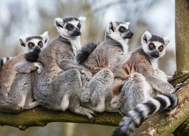 Quieren “mover el bote”