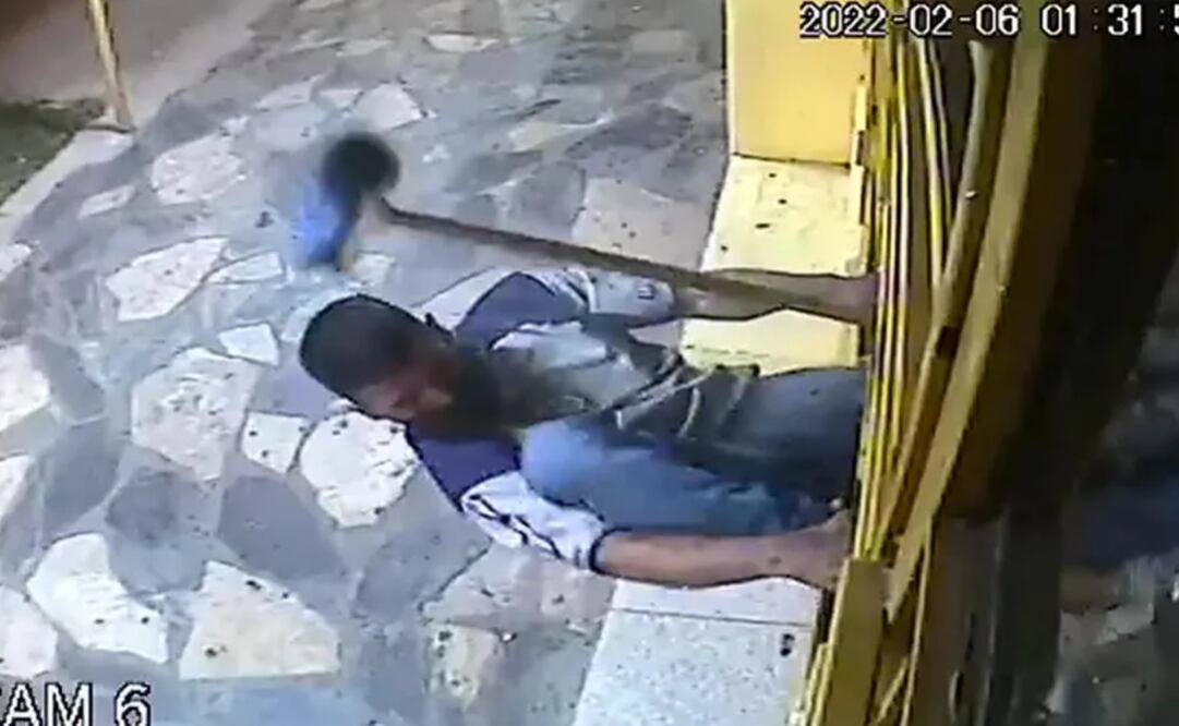 Un ladrón quiso entrar a un local y fue repelido a escobazos en Zárate. Foto: Tomada del video