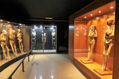 Sacan a Víctor, una momia de Guanajuato, de exhibición porque tenía un insecto