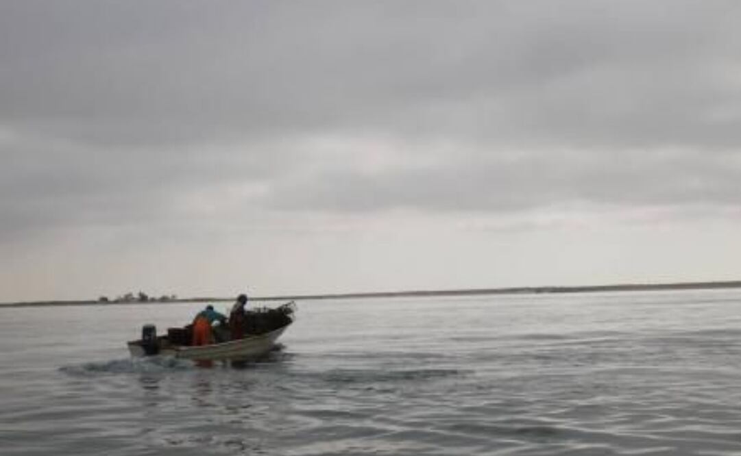 Pescadores. Foto: archivo/ EL UNIVERSAL