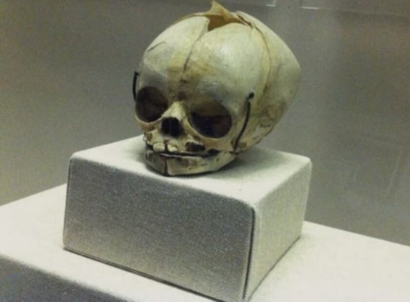 Museos en la CDMX que son gratis los domingos