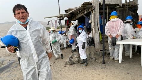 "Hay daño ambiental, moral y económico": la intensa labor de limpieza del derrame de petróleo en Perú