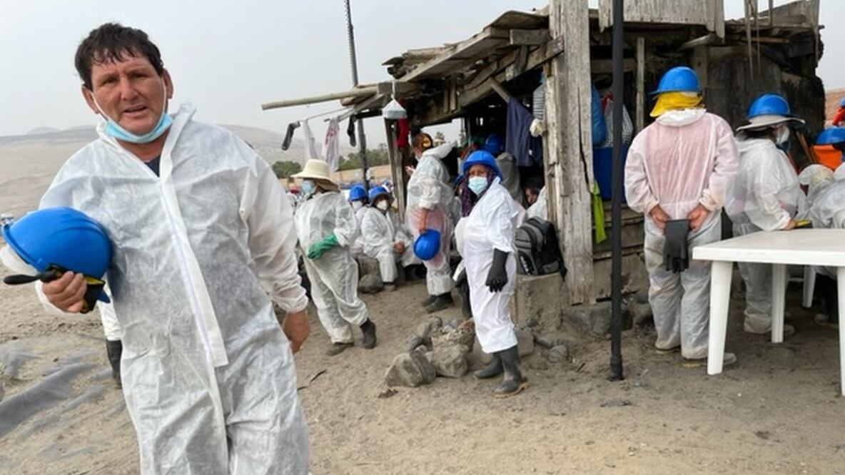 "Hay daño ambiental, moral y económico": la intensa labor de limpieza del derrame de petróleo en Perú