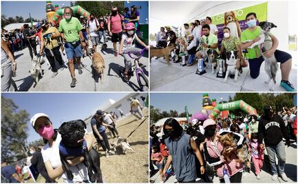 Alcaldía Coyoacán realiza Primer Maratón Canino