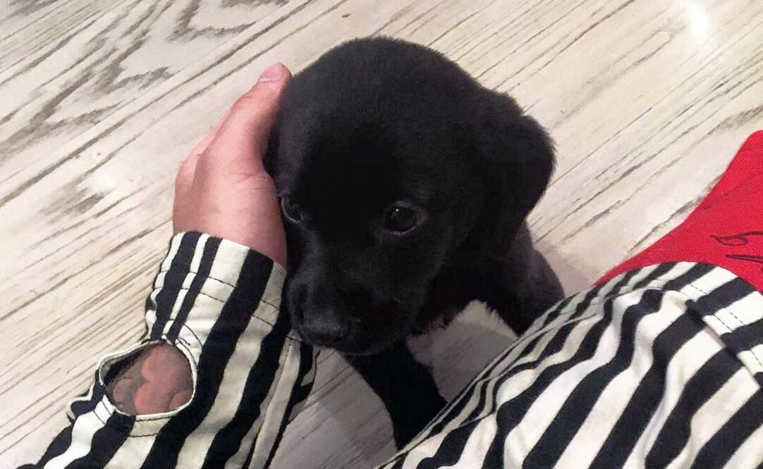 El pequeño Phil fue presentado por el cantante a través de su cuenta de Instagram. (FOTO de Instagram: justinbieber)