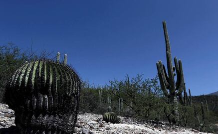 UNESCO inscribe al Valle de Tehuacán-Cuicatlán como Patrimonio Mundial