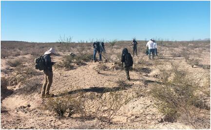Comisión de Búsqueda localiza restos óseos en “El Mimbre”, Chihuahua