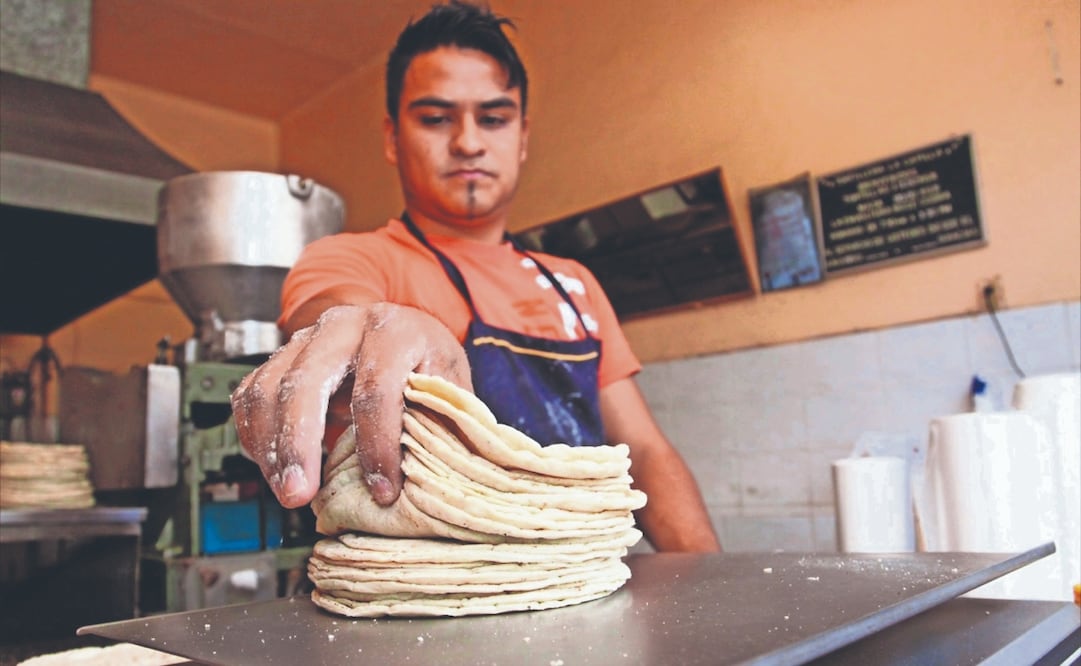 La renovación del Pacic incluirá en esta ocasión a tortillerías en busca de que no se incremente el precio del popular alimento. Archivo El Universal
