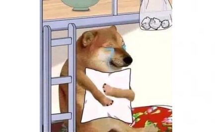 ¿Te despertó el temblor? Aquí van los mejores memes