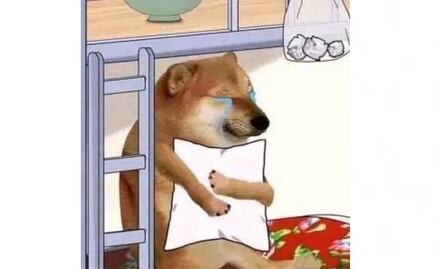 ¿Te despertó el temblor? Aquí van los mejores memes