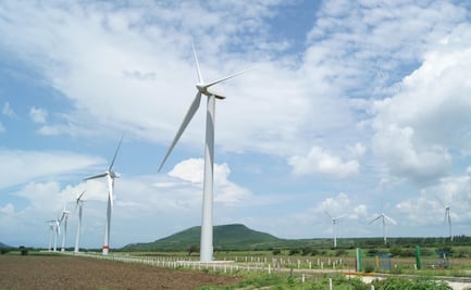 Reactivan consulta indígena para construcción de parque eólico en Oaxaca