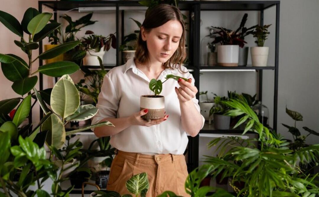 Beneficios del cabello de ángel. Fuente: Freepik