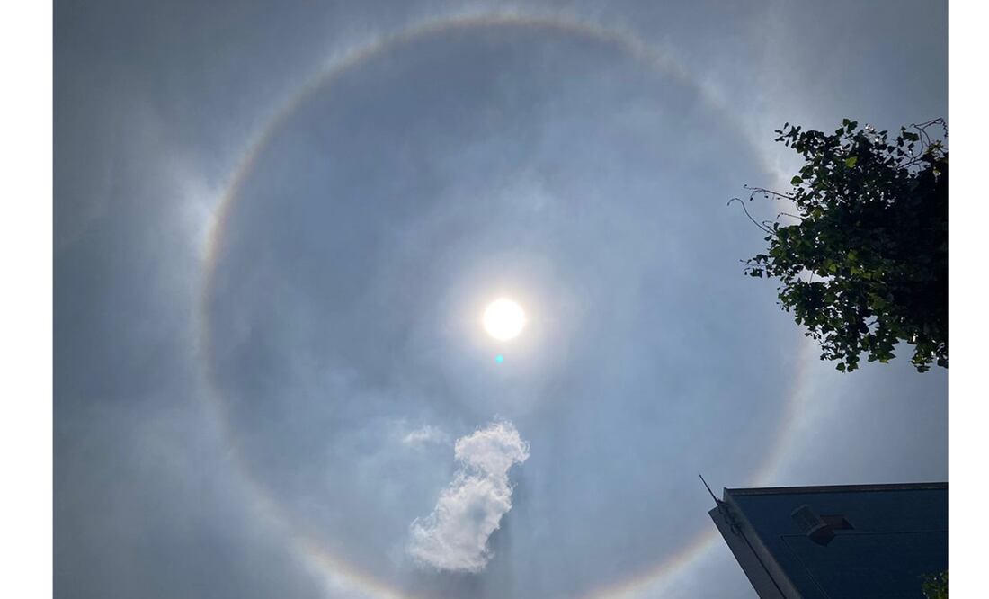 FOTO: Gaspar Betancourt/ EL UNIVERSAL/