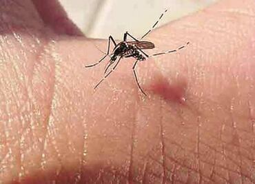 U.S.: travel OK to high-elevation cities in Zika countries