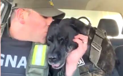 Perrita de Gendarmería argentina se jubila y enternece a las redes: "estoy llorando por Pequi"