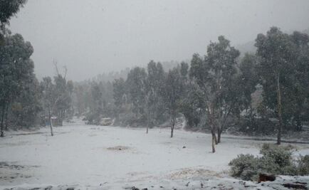 Este martes se prevé caída de aguanieve en estos estados por la segunda tormenta invernal y frente frío 16