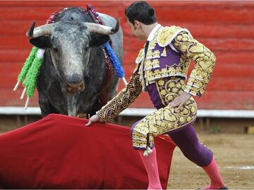 Toreros alzan la voz ante la aprobación de las Corridas de Toros sin violencia; "Están quitando nuestra identidad", aseguran