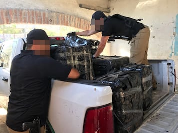 BCS asegura en una semana 761 mil dosis de droga