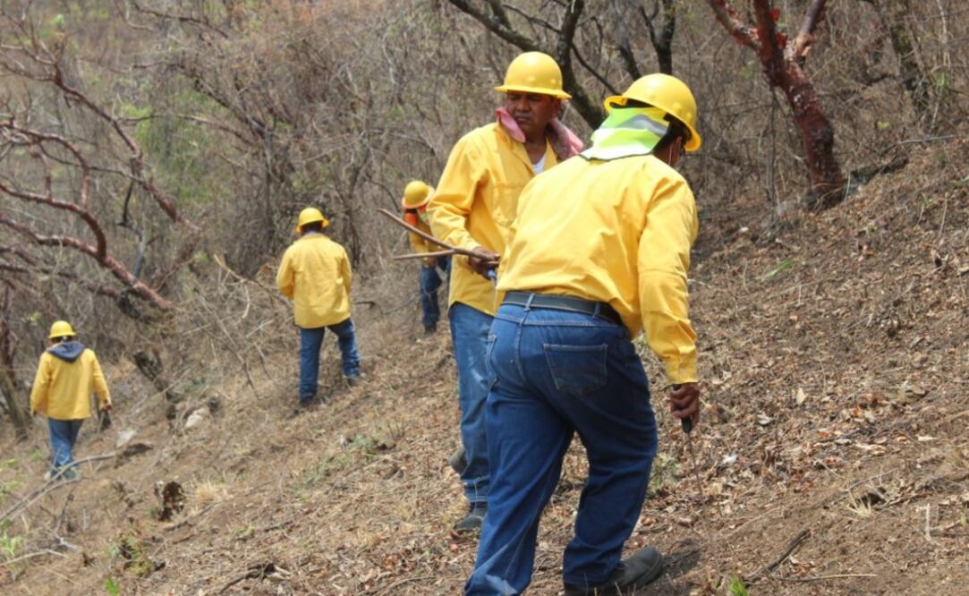 La empresa Esperanza Silver de México apoya con recursos económicos, materiales y técnicos a los brigadistas contra incendios de San Agustín Tetlama en Temixco, Morelos